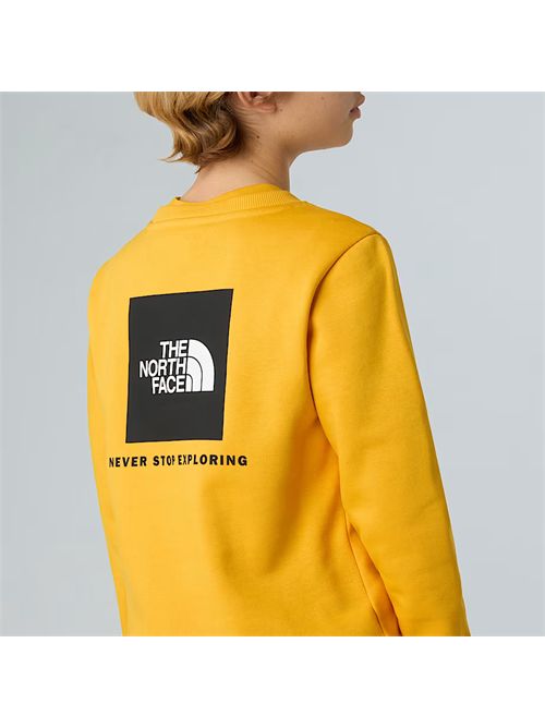 Felpa NSE Box da ragazzi THE NORTH FACE | NF0A89H7/56P1